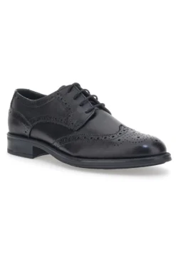 Elegante Schnürschuhe Andrea Bruni 11706 Schwarz