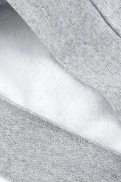 Felpa Grigia Con Cappuccio Champions Hooded Sweatshirt