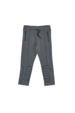 Pantaloni grigi felpati con stampa grafica Pitt Kids PT-KP-8009