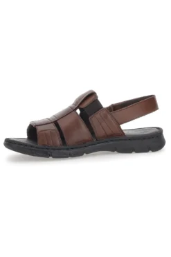 Sandali Fisherman Marroni Pittarello ECO 2417985