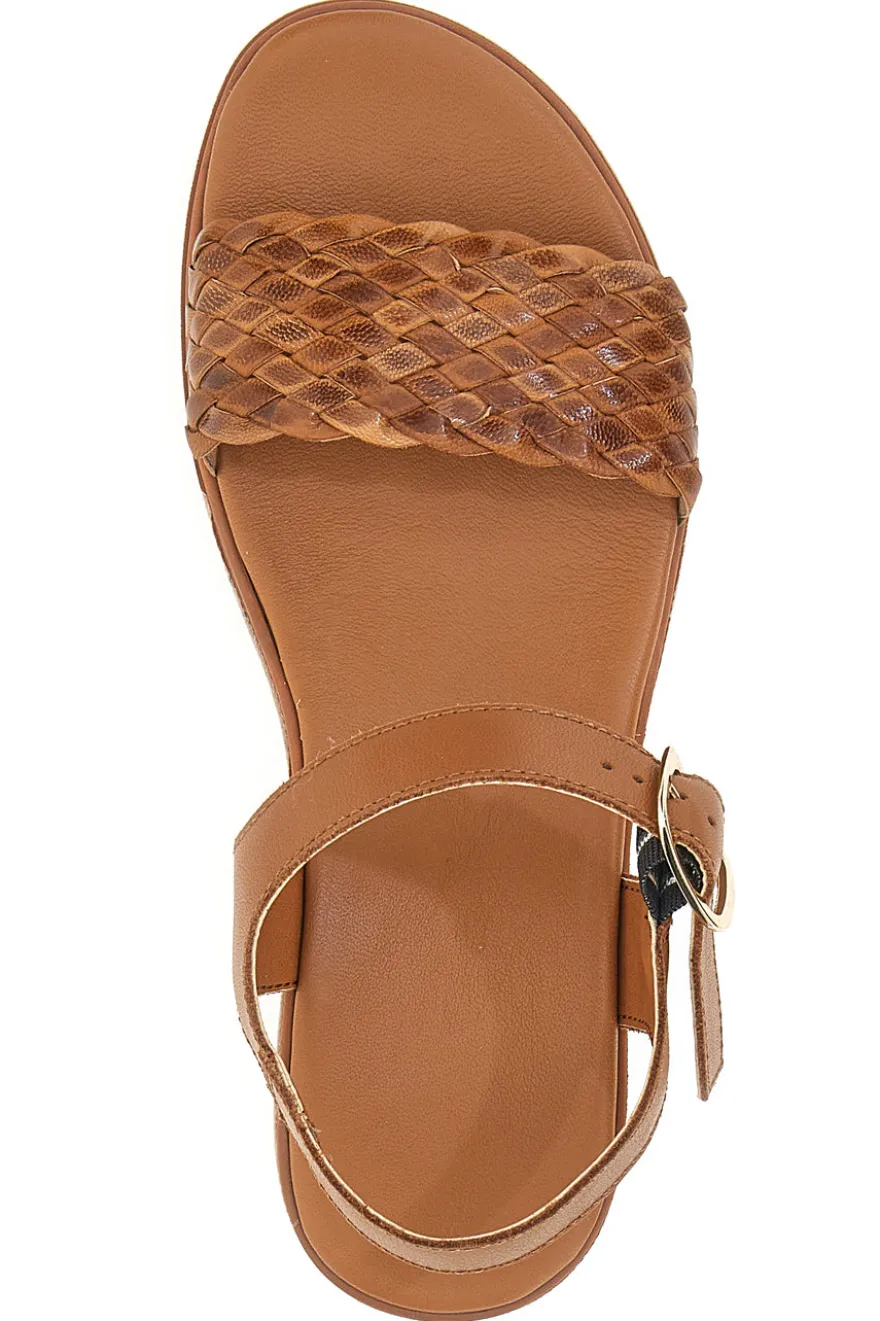 Sandali Marroni Pittarello Focus 6705000
