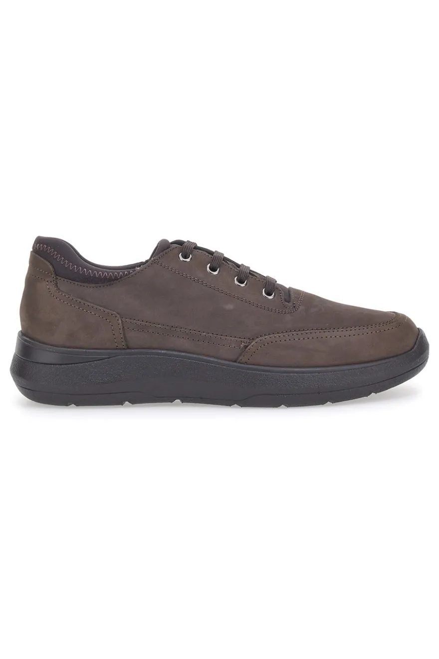 Scarpe Stringate Marroni Pittarello 5792