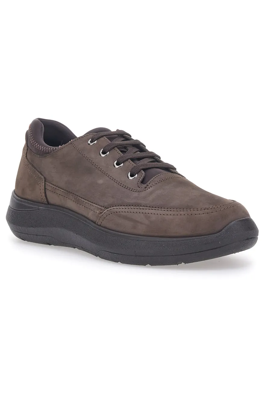Scarpe Stringate Marroni Pittarello 5792