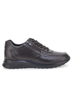 Sneakers marroni in pelle con zip laterale Claremorris 23066510