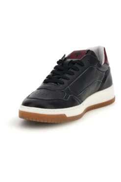 Sneakers nere in pelle stringate Pittarello plus Zeno